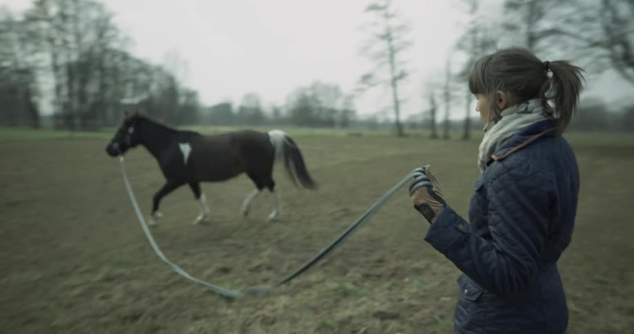 Horse trots around while woman holds a lead