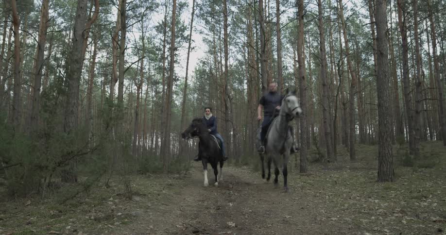 Two people are riding horses along a trail