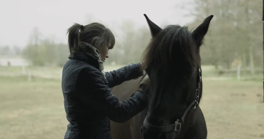 A woman brushes the coat of a horse