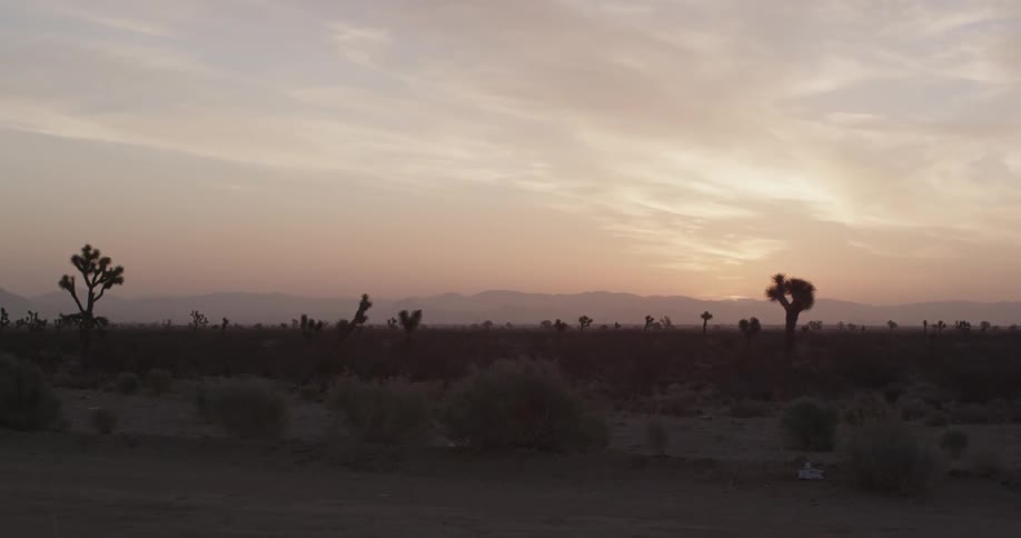 The sun setting over a desert landscape