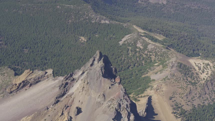 A mountain in the middle of a forest