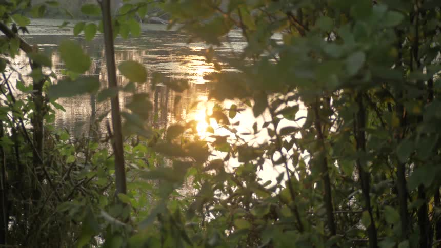 Golden Hour Pond Scenics