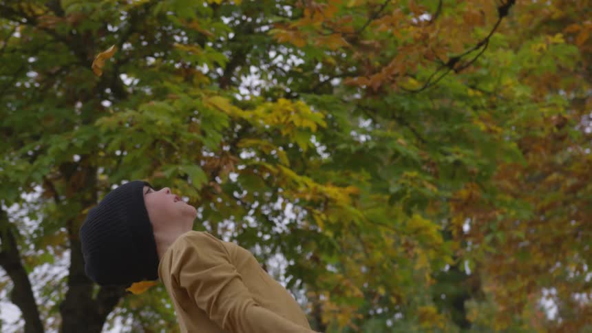 A child throws leaves up in the air