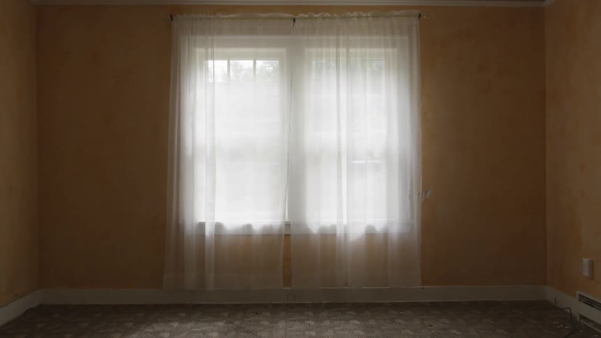 A window with sheer drapes on it