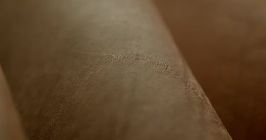 Fine detail of a leathery surface can be seen