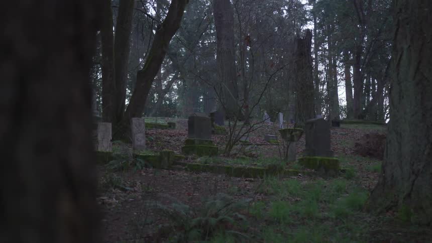 Cemetery In Forest
