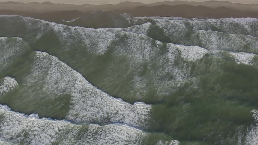 Coastal Forest Aerials