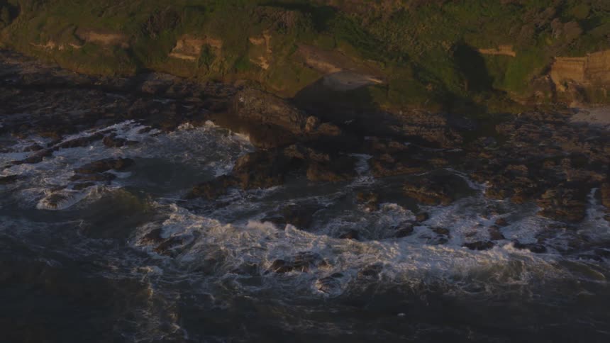 Coastal Forest Aerials