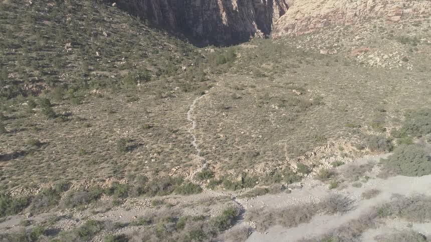 Desert Aerials