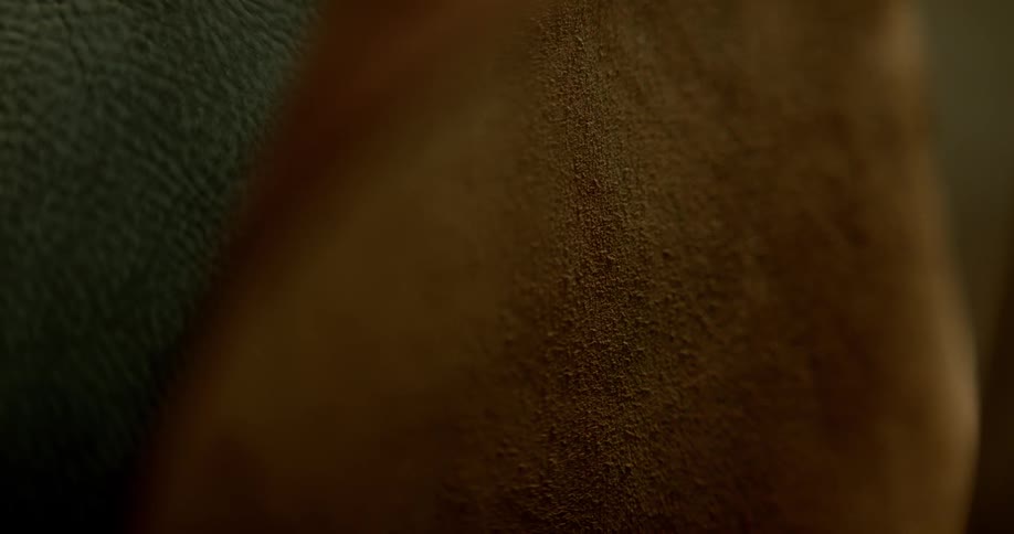 A close up view of a leather belt