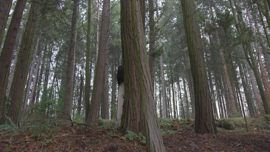 A woman stands in the woods near the tall trees