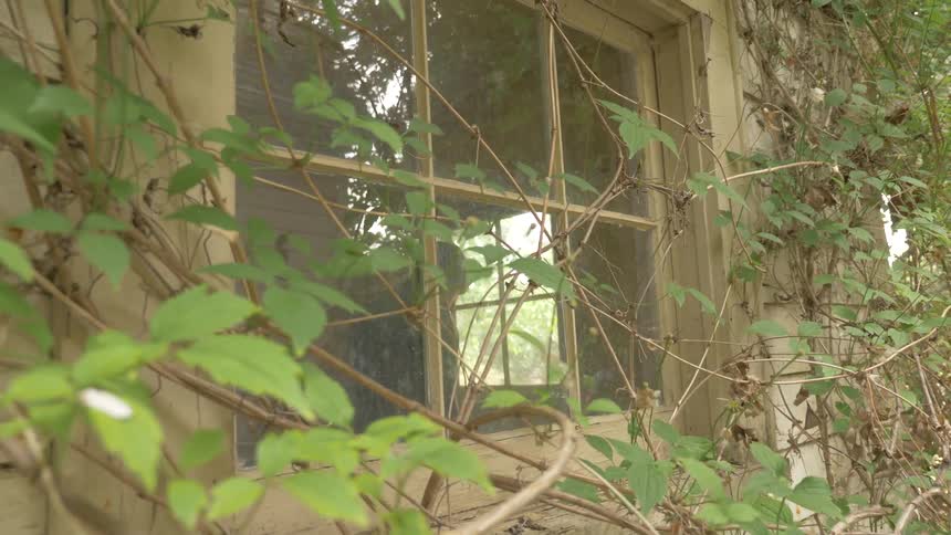 A person looking out the window of a small shack