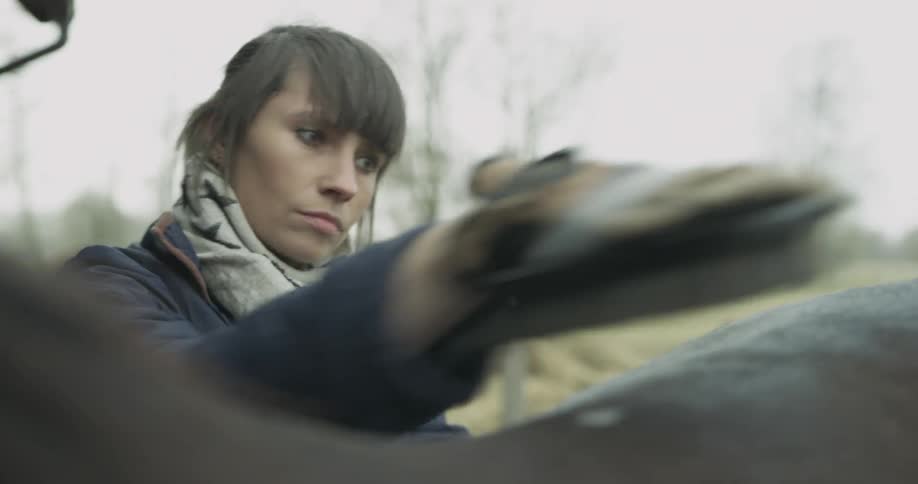 A woman is brushing a horse outdoors