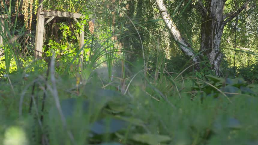 A water sprinkler spraying in a grassy area