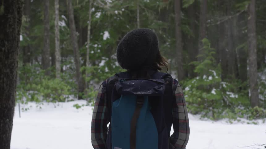Friends Hiking In Winter