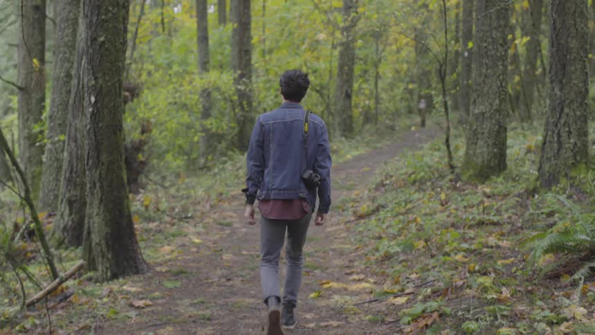 Man walks along path in forest during the day