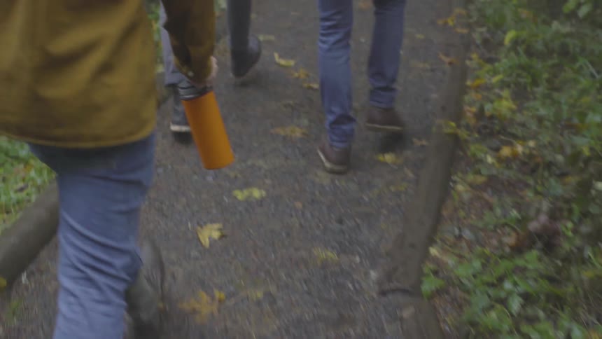Friends Hiking In Foggy Forest