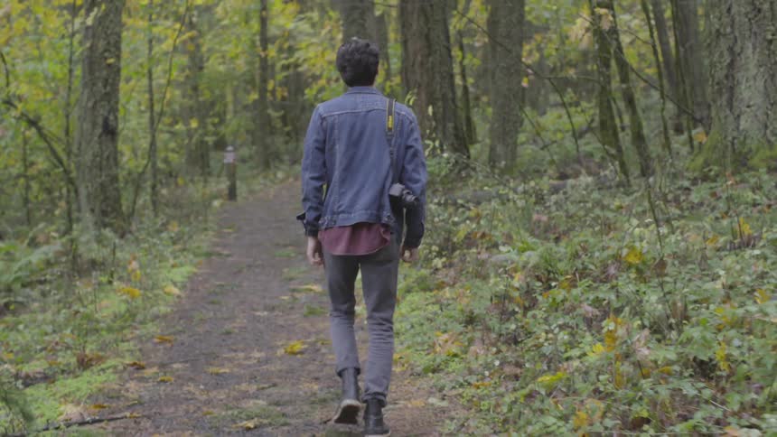 A man walks along a forest path