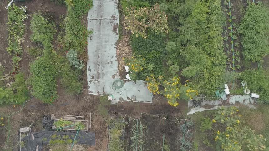 Garden Aerials