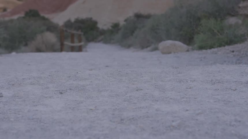 A dirt road through the middle of the desert