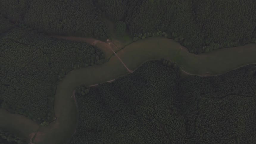 Coastal Forest Aerials
