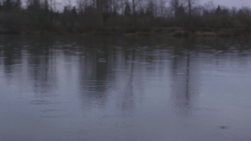 Raindrops falling on the lake