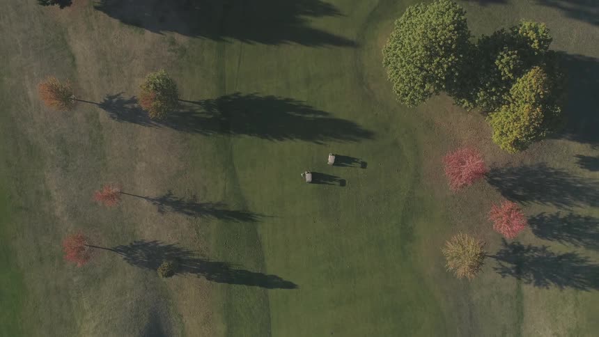 Golf carts mill about on the grass