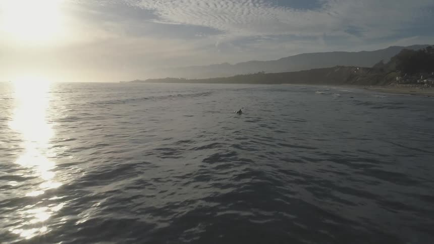 Friends Surfing