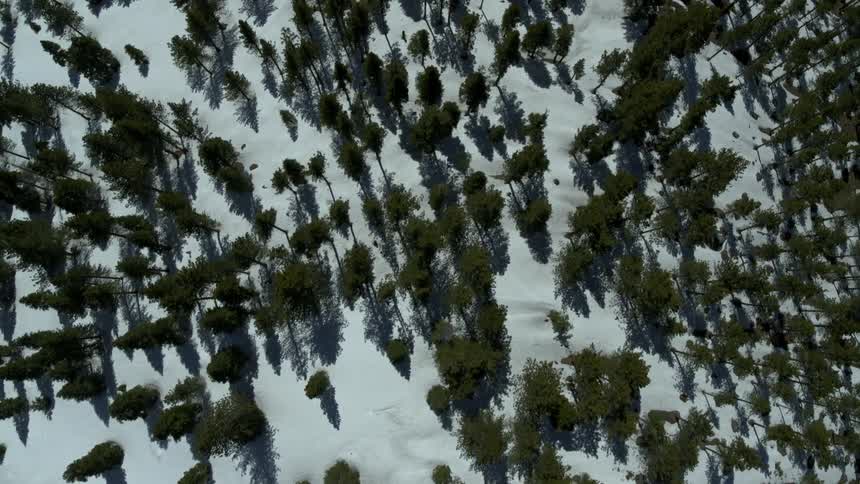 Winter Lake Aerials