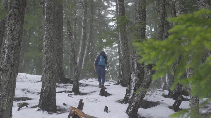Friends Hiking In Winter