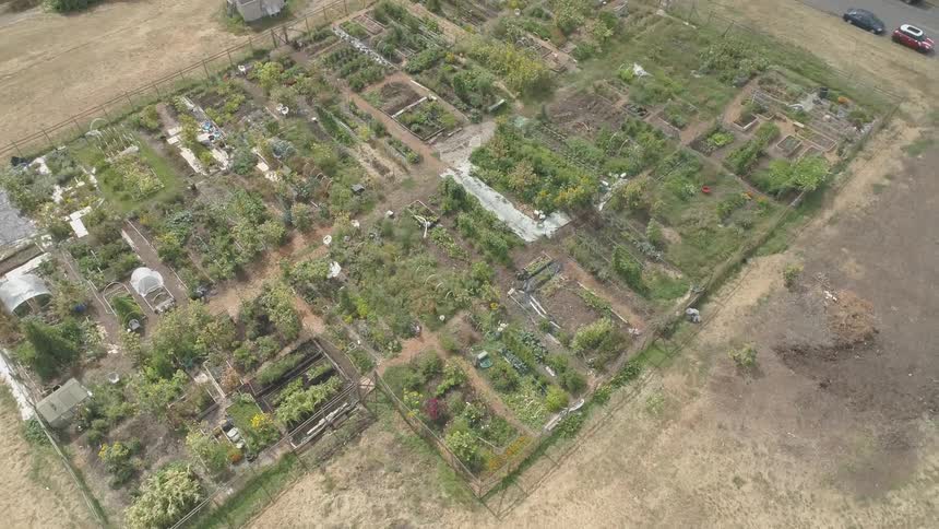 A nursery full of plants