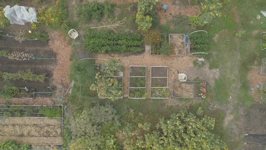 Vegetables are grown on a farm