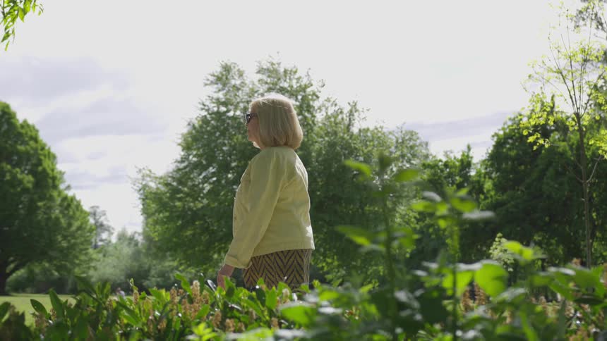 A woman strolls through a park on a summer day