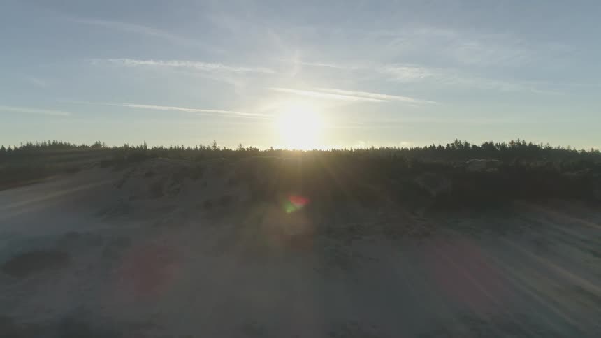 Sun is rising above a field of trees