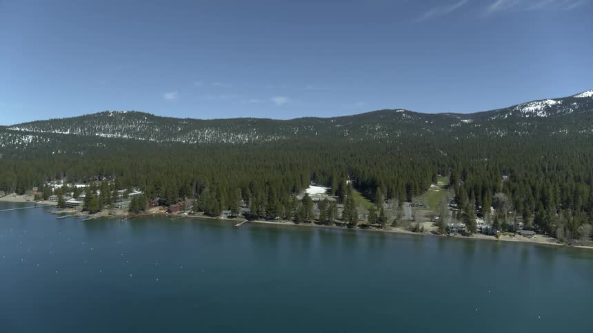 There are a lot of trees near the ocean