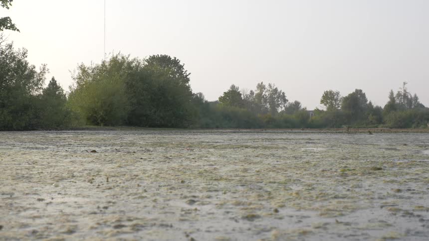 Golden Hour Pond Scenics