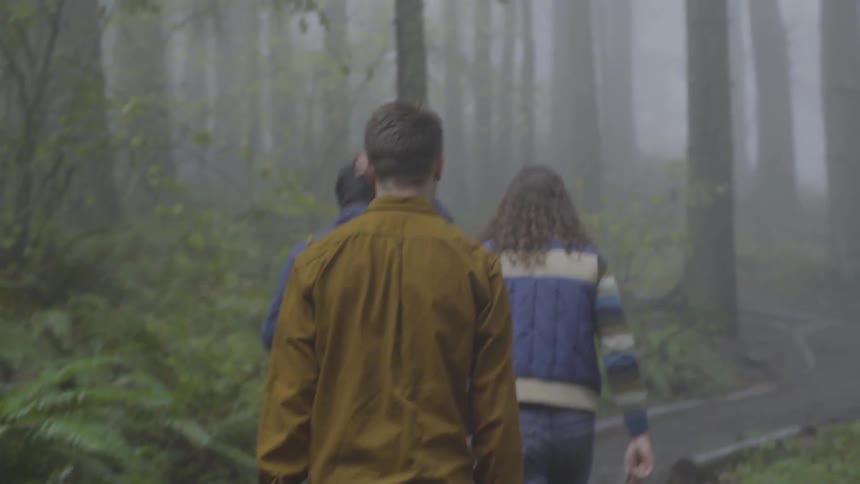 Three guys are walking together up a forest path
