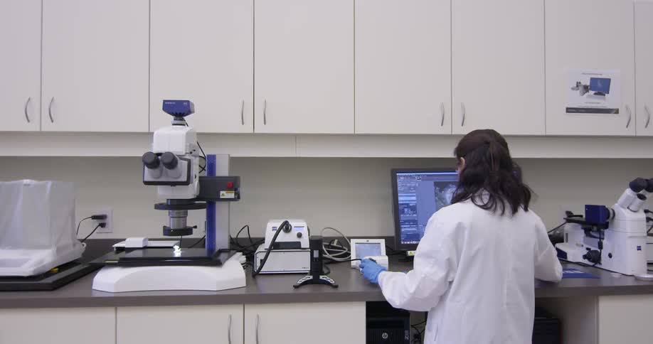 Lab
