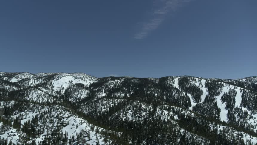 Snow covered forest and hills