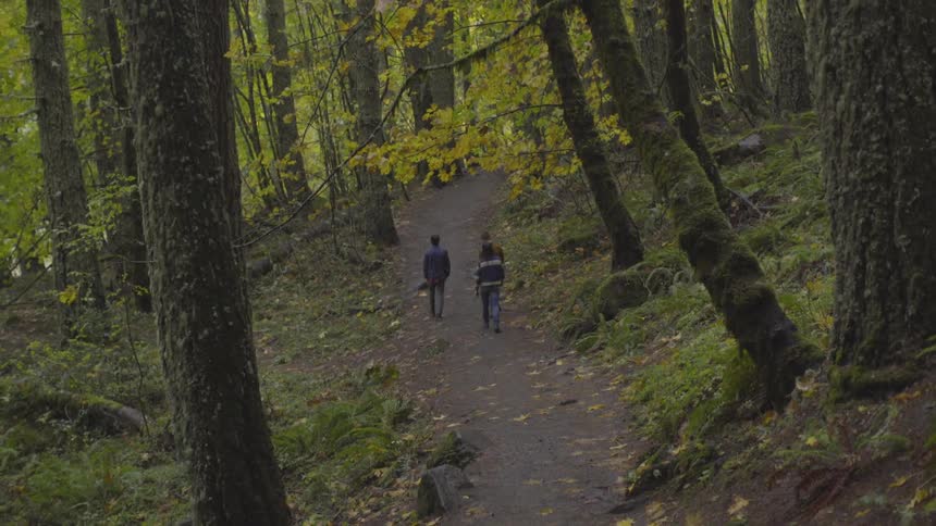 Three people walk down a trail through the woods