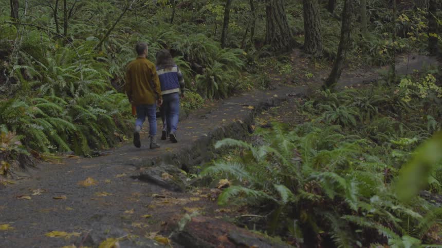 A group of 3 walk a dirt path through a forest