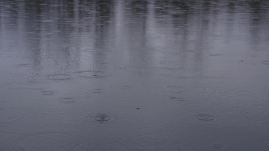 Girl Wading In Pond