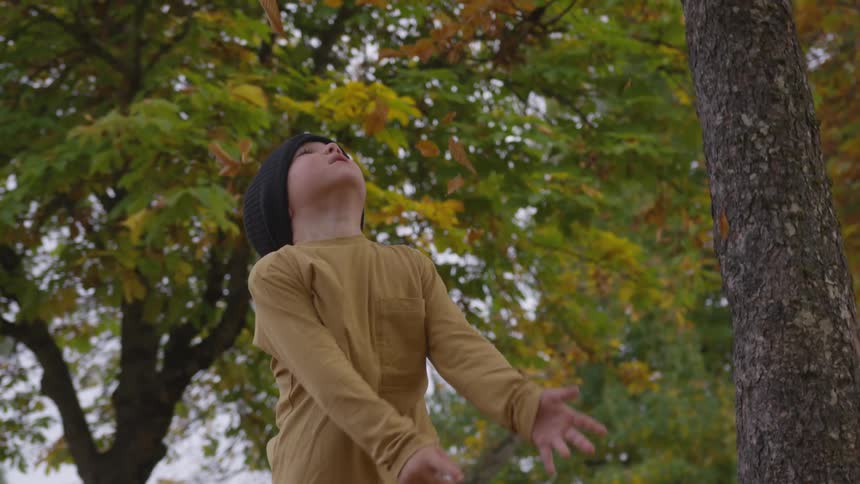 A young child throws leaves into the air