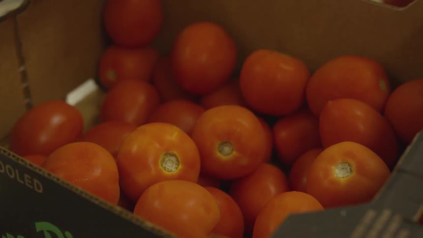 A case of tomatoes