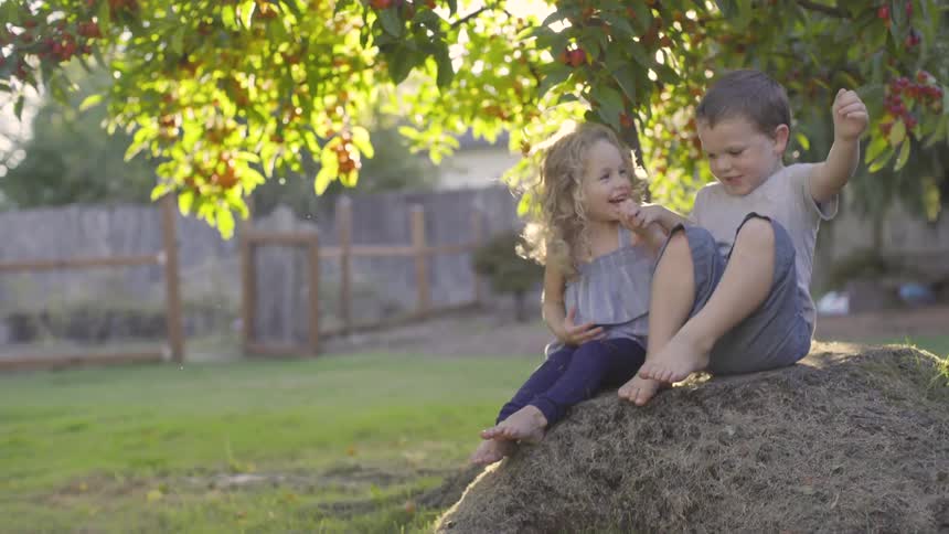 Kids Playing In Backyard