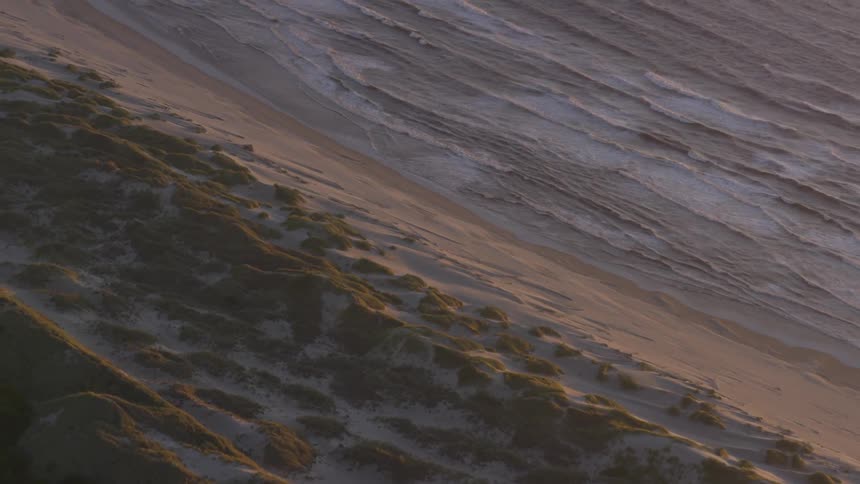 Coastal Forest Aerials