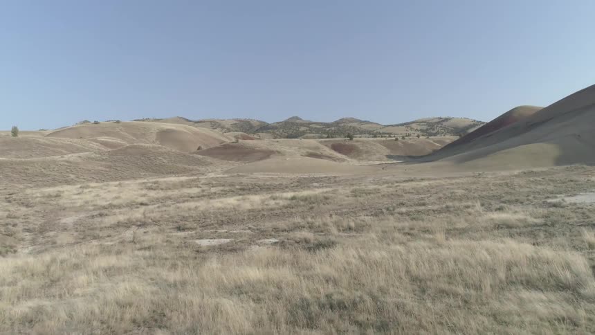 Airplane or drone flies through the landscape of dead fauna or yellow grass on a bright sunny blue sky day