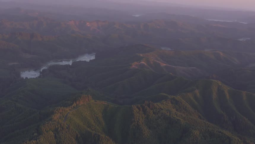 Coastal Forest Aerials