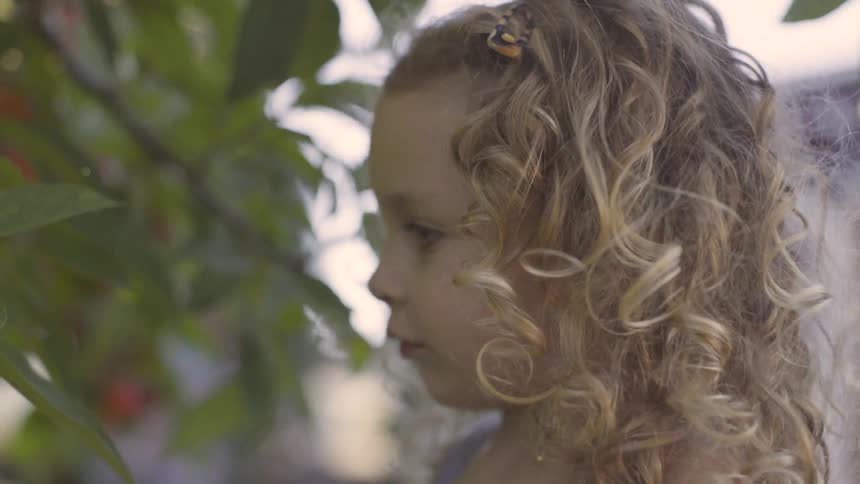 A child pulling leaves off a tree