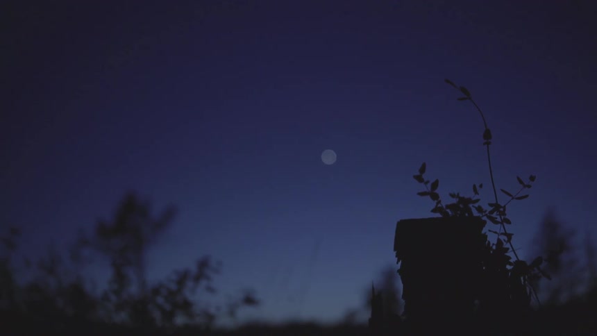 Full moon in the night over a rural scene